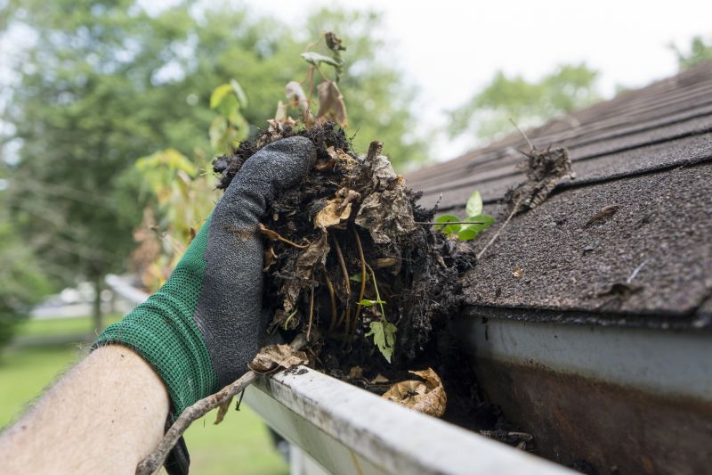 Debris Removal in Gutters