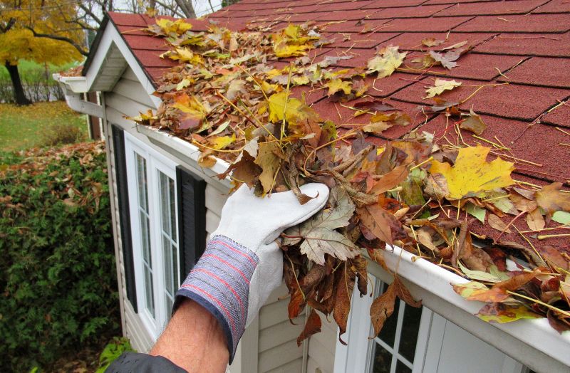 Optimal Time for Gutter Service